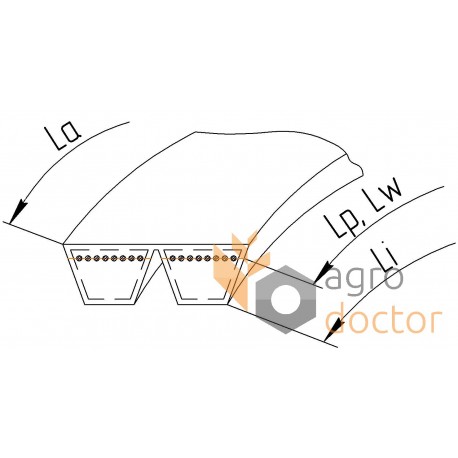 1603701M1 Massey Ferguson [Continental] Ремінь багатоклиновий - 342.017.2C Agridur