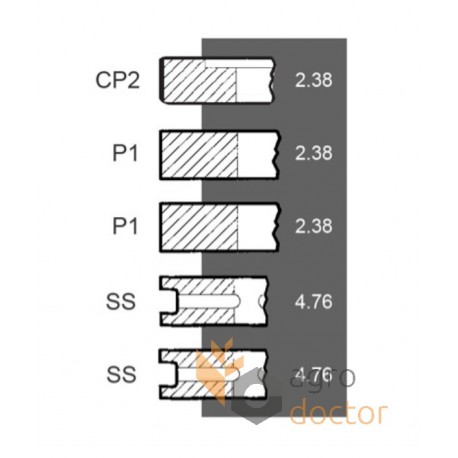 Поршневі кільця 751607R91 Case, (5 кілець) [Bepco]