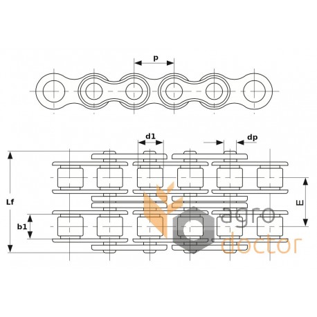 Дворядний роликовий ланцюг 12B-2 [SKF]