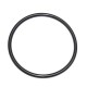 Уплотнительное кольцо R134224 - опоры моста трактора, John Deere [Original]