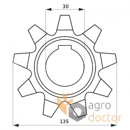 Зірочка 80270029 транспортера New Holland, Z9