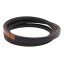 D41929000 подходит для Dronningborg - Приводной ремень Bx1870 Lw Harvest Belts [Stomil]