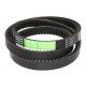 Variable speed belt AP1002317 Agro Power [Optibelt]