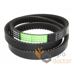 Variable speed belt AP1002317 Agro Power [Optibelt]