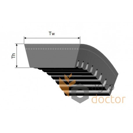 Variable speed belt AP1002317 Agro Power [Optibelt]