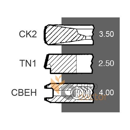 Поршневі кільця 3641316M91 Massey Ferguson двигуна Perkins, (3 кільця), [NE]