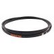 Привідний ремінь D41941900 [Dronningborg] Bx3400 Harvest Belts [Stomil]