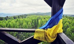 З Днем Незалежності України!