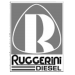 Запчастини до RUGGERINI